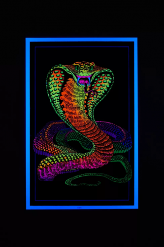 Cobra بوستر مضيء