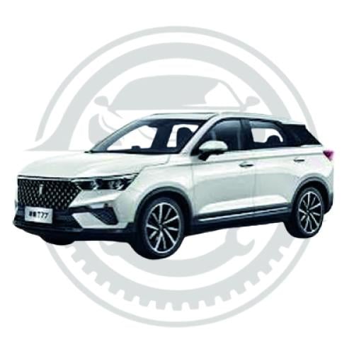 شبك واجهة رئيسي  فاو بيستون تي 77 T77