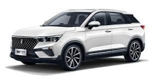 جسر صدام امامي فاو (بيستون) تي 77 T77