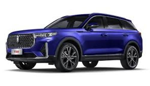 صدام امامي علوي فاو تي 99 T99