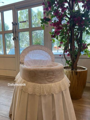 سلة موسى- بدون مهاد