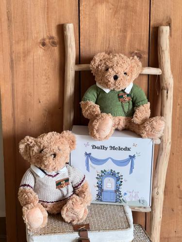 دمية (دبدوب )