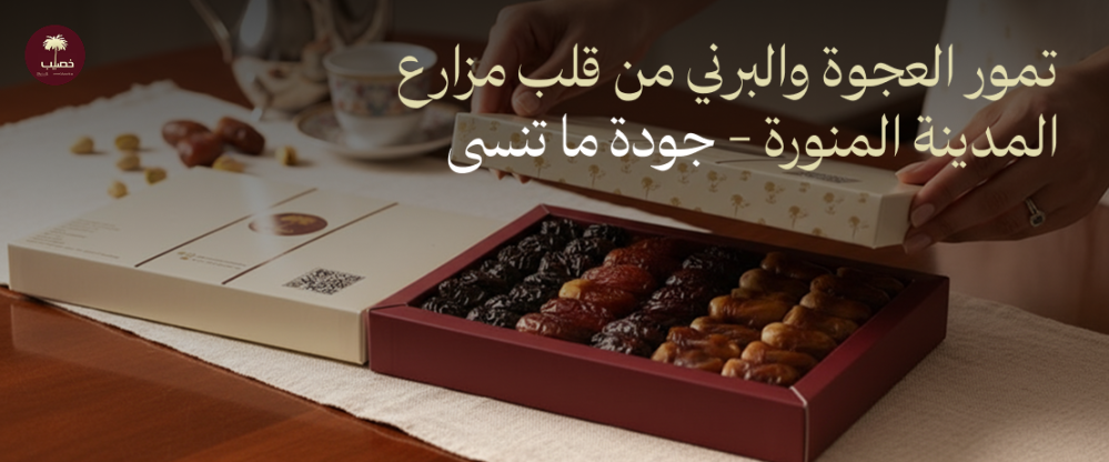 مزارع التمور بالمدينة المنورة