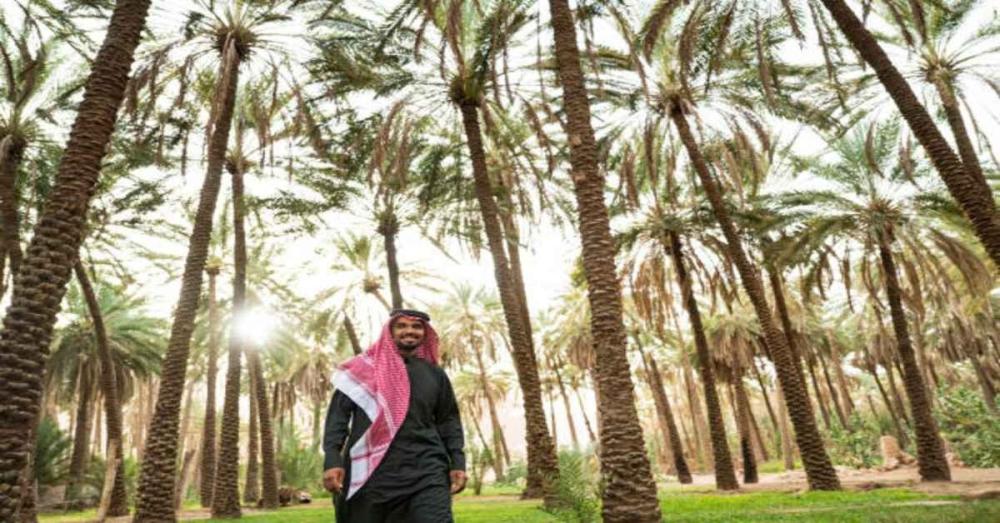 أهم المحاصيل الزراعية في المملكة العربية السعودية