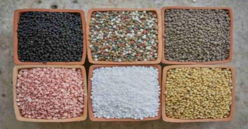 أفضل فرق بين سماد الداب واليوريا واستخدام كل نوع