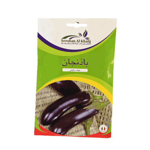بذور باذنجان فيوليت