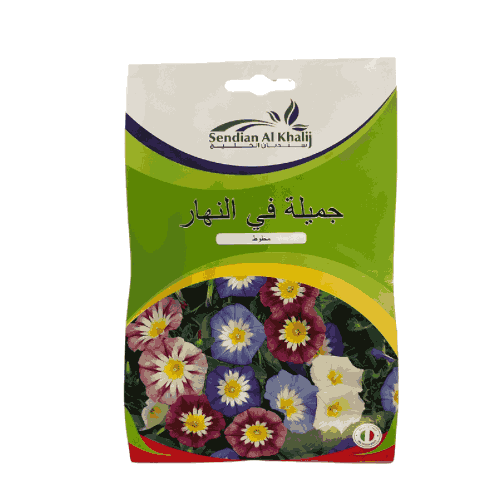 بذور جميلة فى النهار