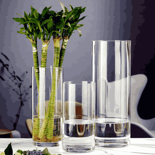 فازة زجاجية أسطوانية شفافة