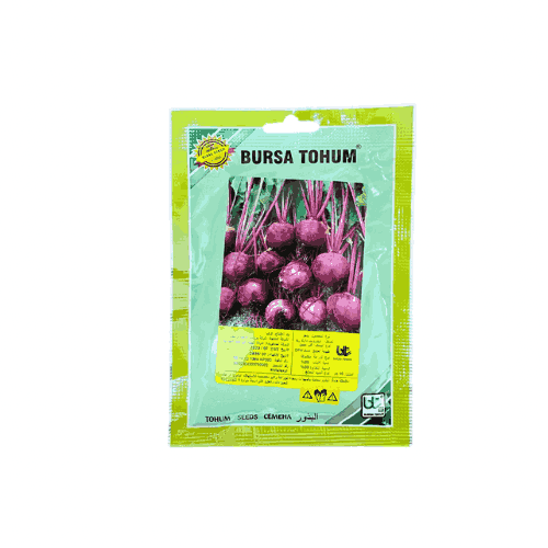 بذور بنجر ديترويت