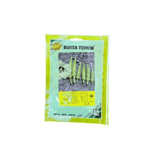 بذور بامية تركية