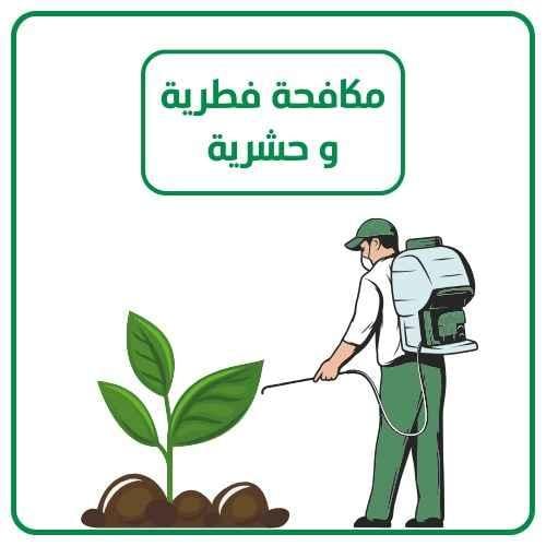 رش المبيدات الزراعية ومكافحة الفطريات والحشرات