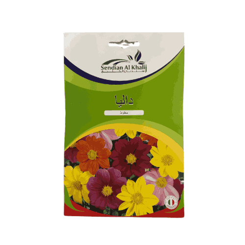 بذور زهور داليا