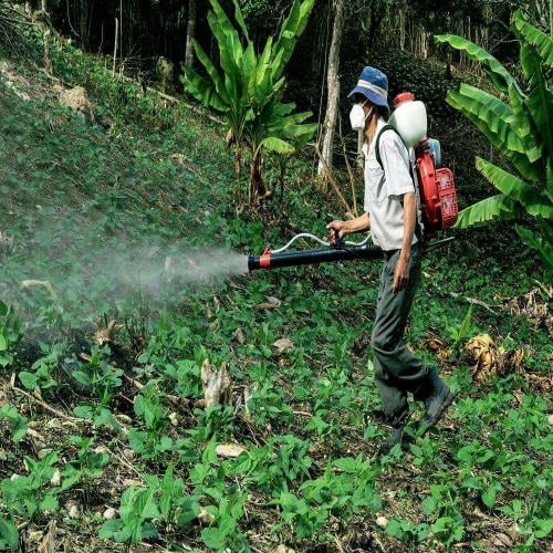 الفرق بين مبيدات الصحة العامة والمبيدات الزراعية