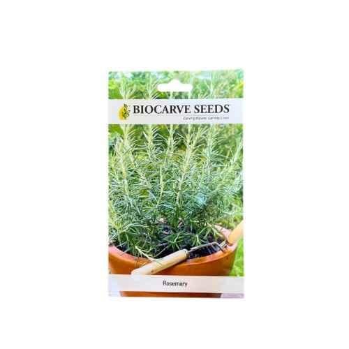 بذور روزماري أكليل الجبل