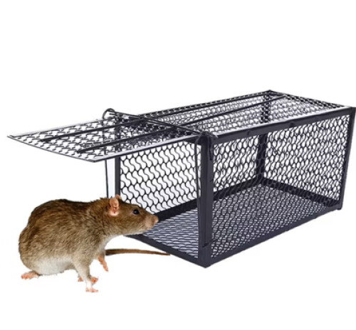 مصيدة فئران / جرذان حديد