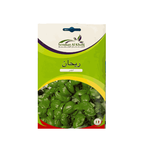 بذور ريحان ايطالي
