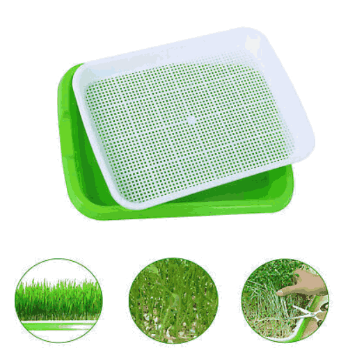 صينية إستنبات البذور ( المايكروجرين)
