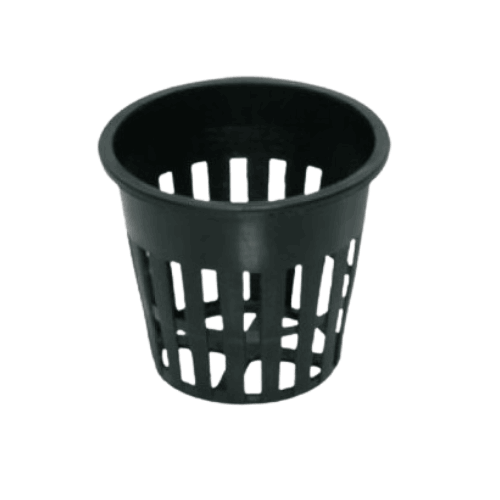 كاسة شبكية للزراعة المائية