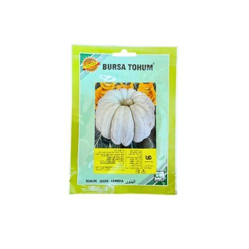 بذور قرع كونيكت فيلد