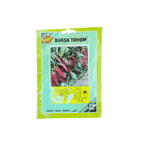 بذور فلفل كابيا