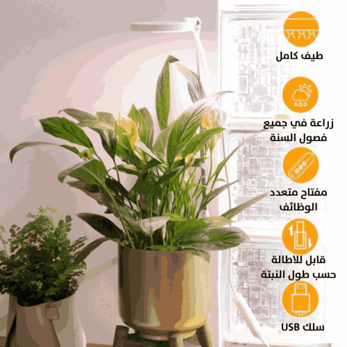 إضاءة نبات Grow light