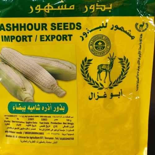 بذور ذرة بيضاء