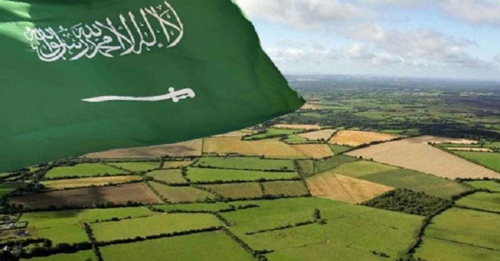 المناطق الزراعية فى المملكة العربية السعودية