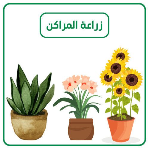 زراعة المراكن