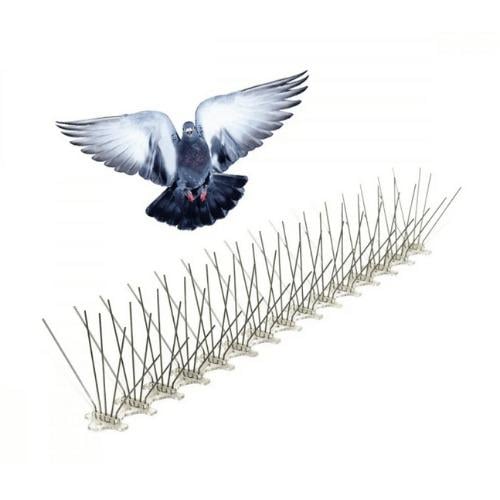 طارد الحمام أشواك