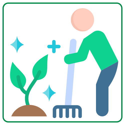 زراعة و تنسيق الحديقة