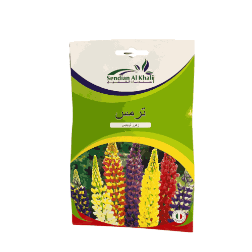 بذور زهور الترمس