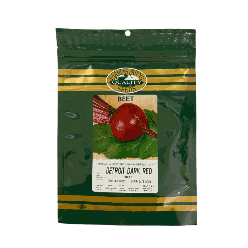 بذور شمندر ديترويت