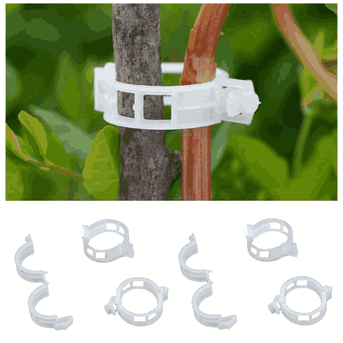 كليبس تثبيت النباتات