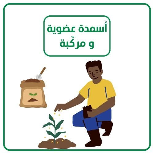 تسميد نباتات الحديقة