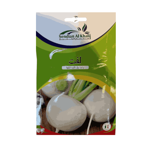 بذور لفت أبيض