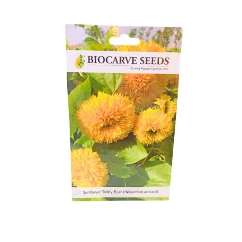 بذور دوار الشمس قزمي