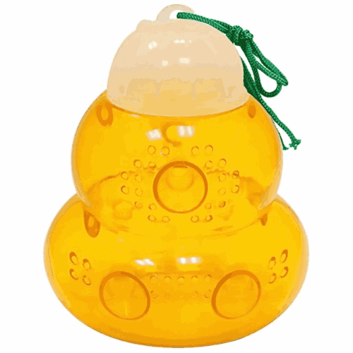 مصيدة حشرات