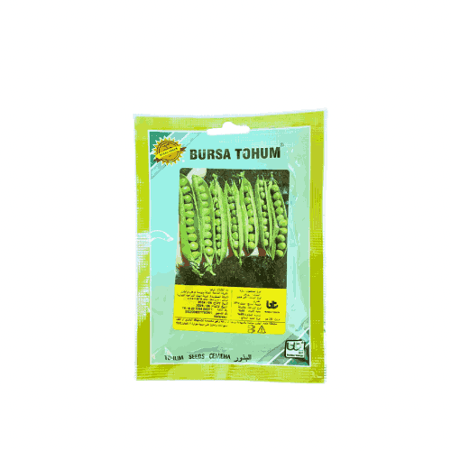 بذور بازيلاء