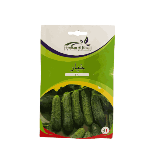 بذور خيار للتخليل