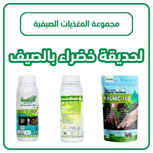 مجموعة المغذيات الصيفية