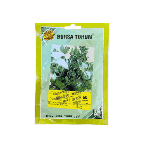 بذور بقدونس تركية