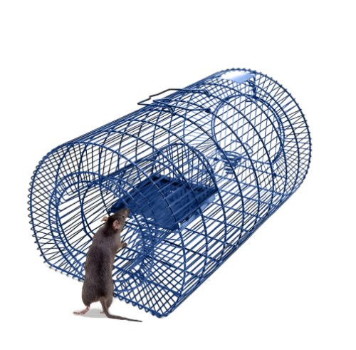 مصيدة فئران / جرذان باكستاني