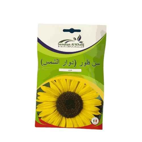 بذور دوار الشمس