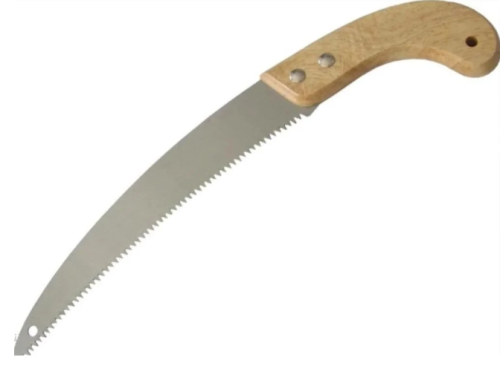 منشار نخيل / شجر تايواني يد خشب