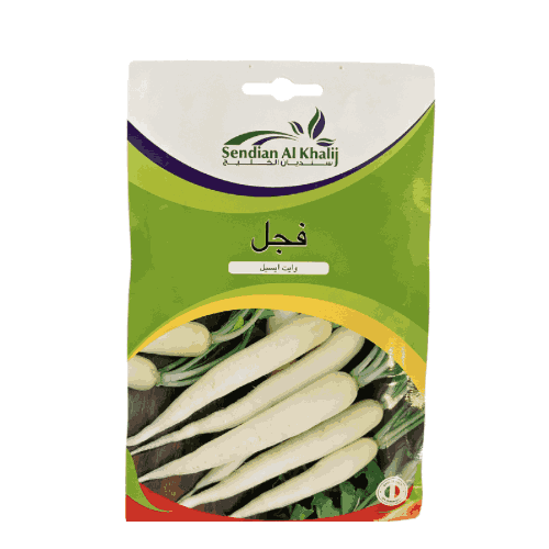 بذور فجل أبيض