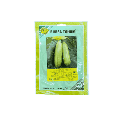 بذور كوسة عرب مارو