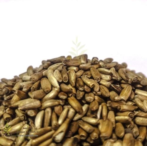 بذور شوك الجمل - حليب الشوك 100ج