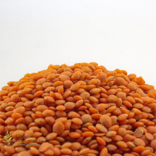 عدس ابو جبة كشري