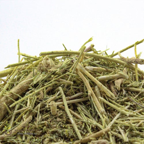 عشبة المدينه