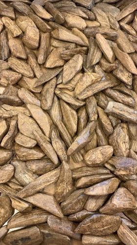 عرض اليوم الوطني95 العود الماروكي شبيه الطبيعي